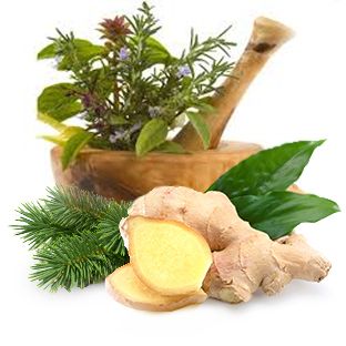 Экстракты пихты сибирской, имбиря, сабельника, лопуха
