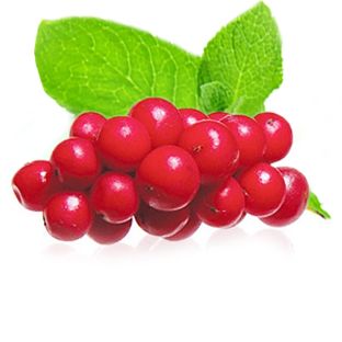 Экстракт лимонника