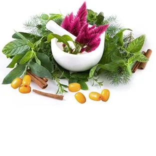 Комплекс экстрактов корицы, облепихи, амаранта, липы