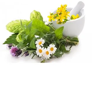 Экстракты хмеля, зверобоя, подорожника, ромашки