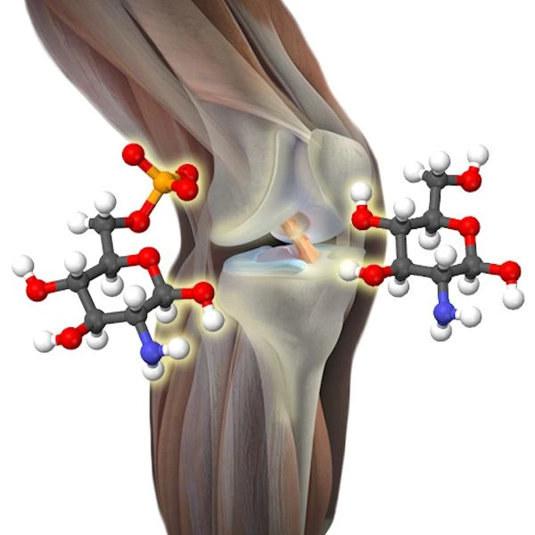 Глюкозамина сульфат